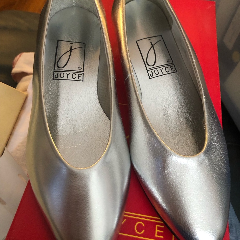Joyce Metallic Silver Pointed-Toe Ballet Flats